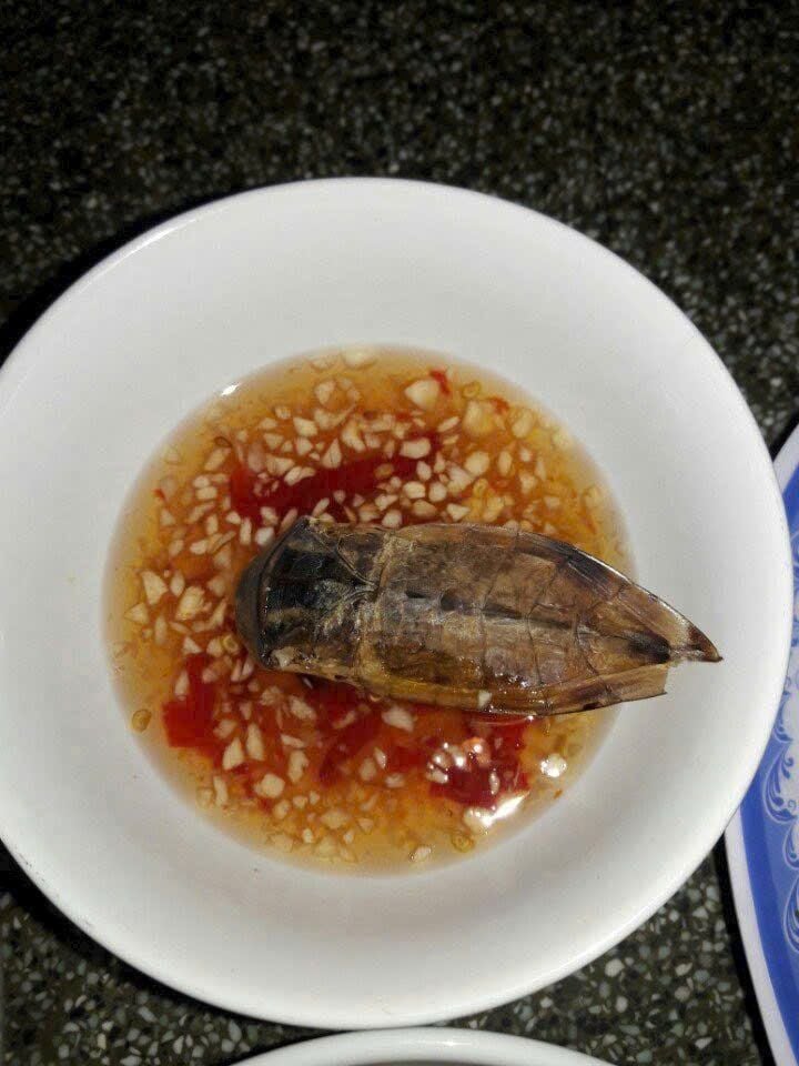 Nước mắm cà cuống