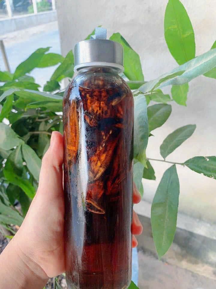 Nước mắm cà cuống