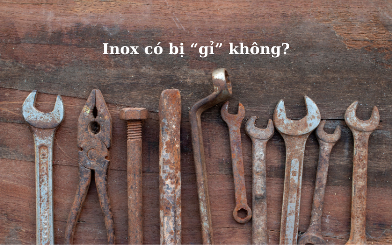 Kềm inox có bị gỉ không? Giải đáp và cách bảo quản đúng cách cho thợ n ...