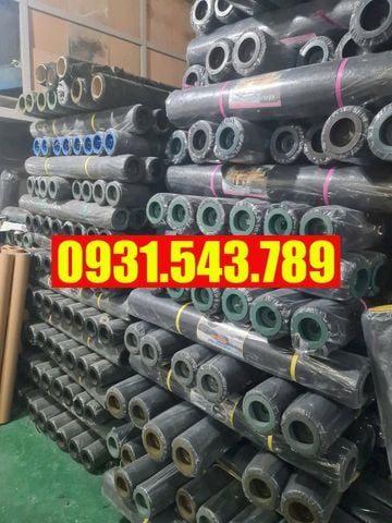 Màng PE / Nilon lót