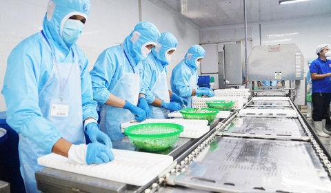 











    



        
    

Tôm thẻ tươi Nobashi là gì? Các thiết bị dùng để chế biến Tôm Nobashi
