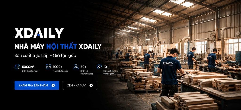 Nệm foam xdaily