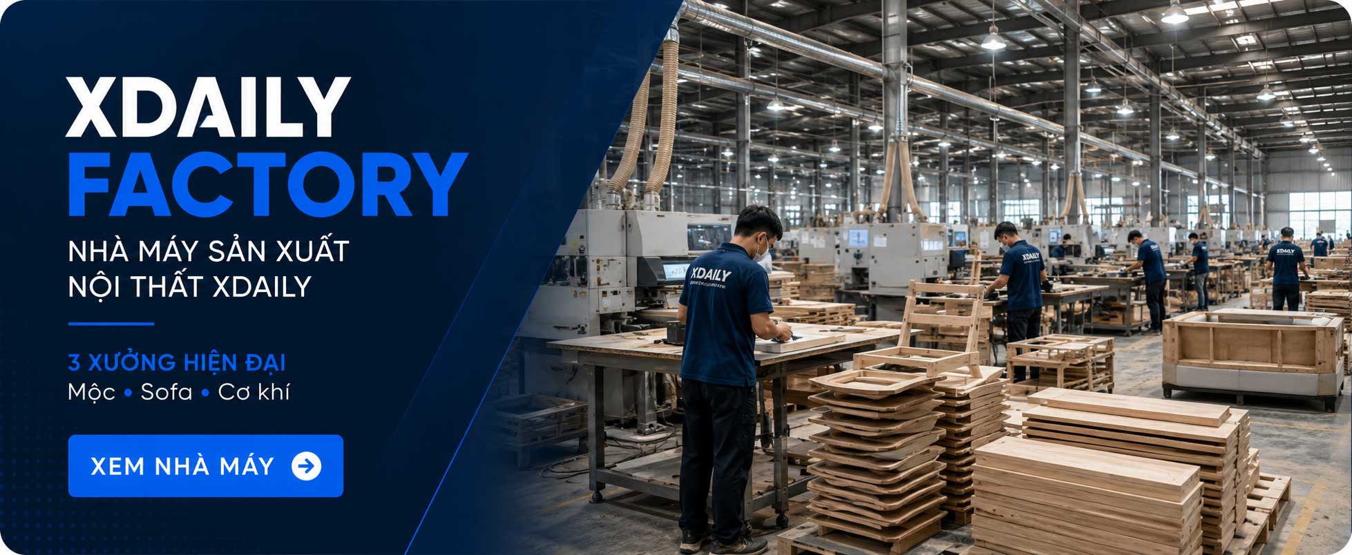 gối foam xdaily